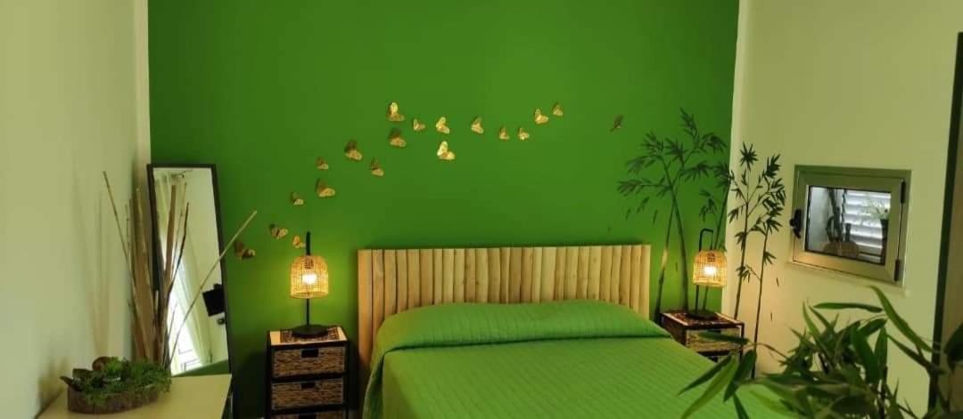 B&B Omer ชากกา ภายนอก รูปภาพ